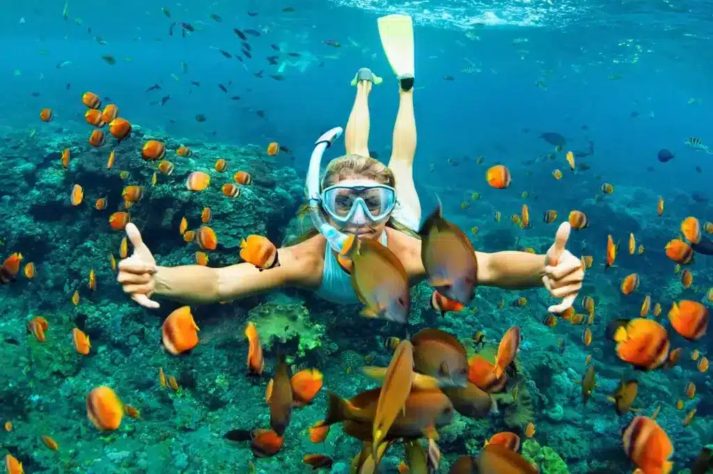 Discover Sint Maarten with 4U Real Estate